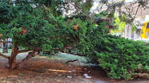 VIDEO a FOTO Otrasné zábery: Na Americkom námestí pobehujú pomedzi ľudské výkaly potkany