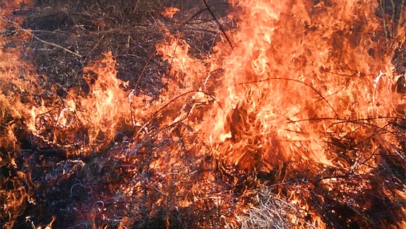 Ministerstvo varuje pred jarným vypaľovaním trávy