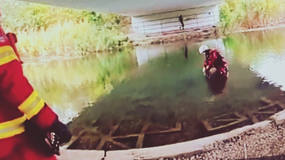 Smutná nedeľa: Pod mostom na Antolskej našli bezvládne telo ženy