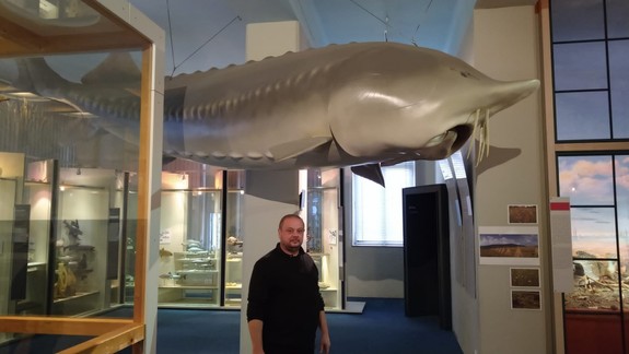 Megarybu vyzu máme už len ako model v múzeu. Je šanca vrátiť ju do Dunaja?