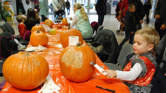 Halloween Párty: Dúbravku rozžiaria lampióny