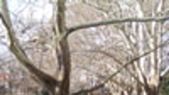 Park s detským ihriskom Nová doba obnovia