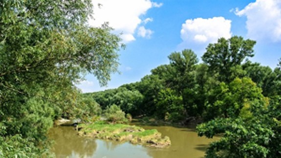 Mladí vedci pripravujú ochranu Sihote