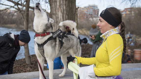 FOTO Vianočný beh: Na svoje si prišli aj psíčkari