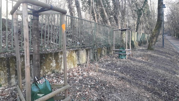 Zabávali sa pri novovysadených stromoch v Horskom parku vandali?