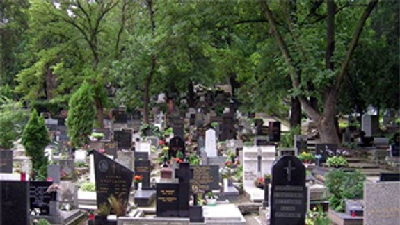 Na cintoríne sa polámali zdravé stromy, zrejme za to môže teplo