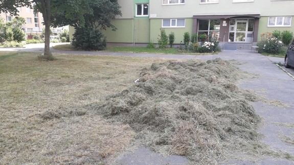 Rozčúlený Petržalčan: Po kosení nám tu nechali kopy hnijúcej trávy aj kosačky