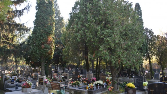 Pre víchricu museli minulý víkend uzavrieť cintoríny – budú raz bez stromov?