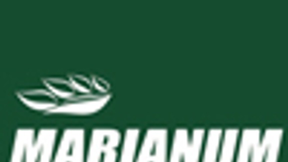 Rozširovanie cintorína v Lamači má tri varianty