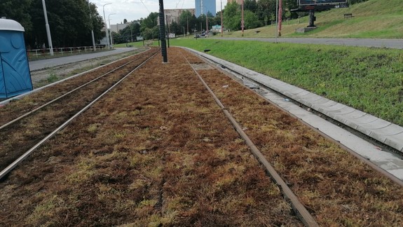 Boli sme sa pozrieť. Prežili rozchodníky na električkovej radiále?