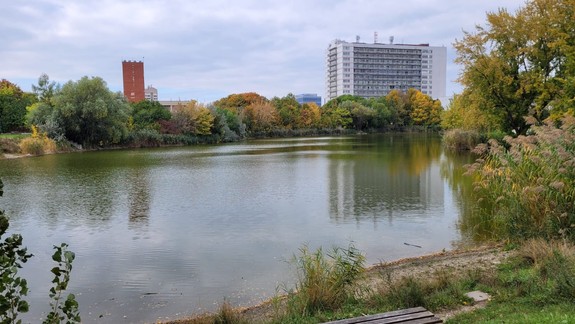 Okolie jazera Rohlík čaká revitalizácia, pribudne aj pamätník obetí ochorenia COVID-19