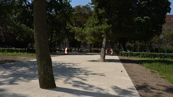 FOTO: Prečo stromy v parku na Kmeťovom námestí vyzerajú ako zabetónované do chodníkov?