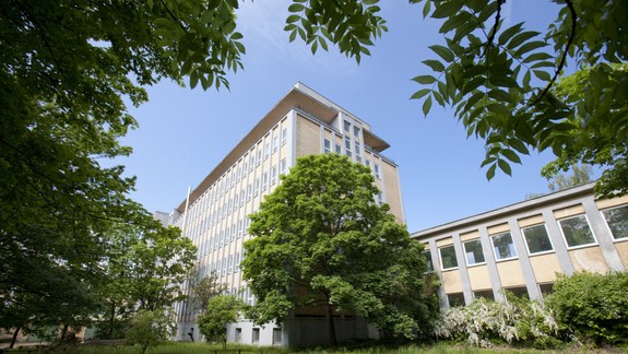 Park v Novej Cvernovke láka na svieži program a oddych: Štvrtky budú patriť najlepším letným hraným filmom