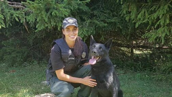 V Bratislavskom kraji slúži 38 psov, väčšinou nemecké a belgické ovčiaky