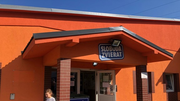 Psíkov môžete vziať na prechádzku: Útulok Slobody zvierat bude na Štedrý deň otvorený pre verejnosť