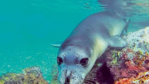 EKOTOPFILM a ENVIROFILM spojili sily pre lepšiu budúcnosť