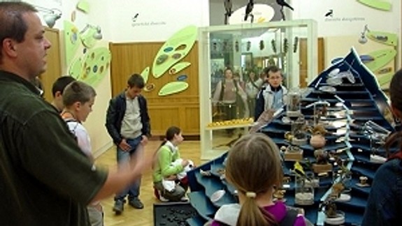 Raz do mesiaca budú múzeá a galérie zadarmo