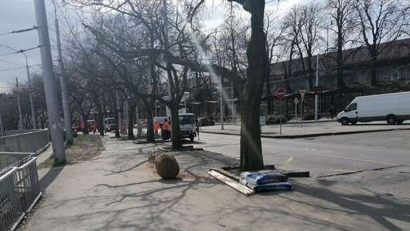 FOTO: Na námestí pod Hlavnou stanicou rúbu a sadia stromy