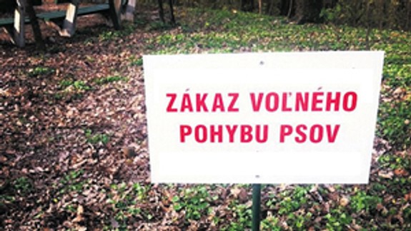 Petržalka chce zákaz voľného pohybu psov