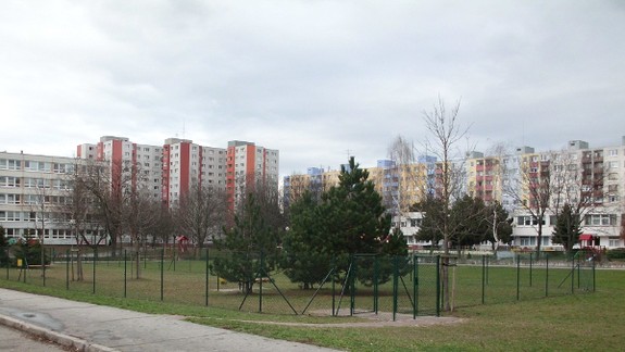 Psy dostali na Holíčskej park, ich majitelia zas dostanú vrecká