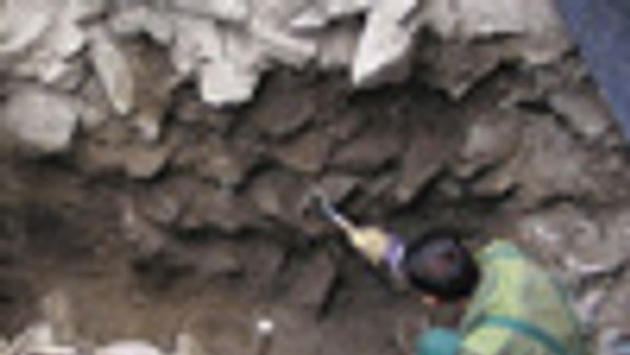 Nálezy prekvapili, ale výskum pokračuje