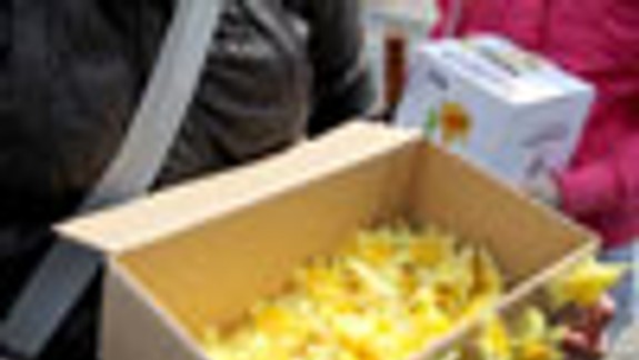 Bratislavčania vyzbierali 225 853,08 eur