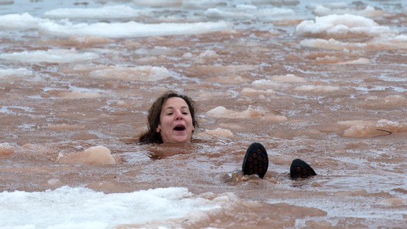 Nová súťaž pre otužilých: Do Dúbravky prídu ľadové medvede