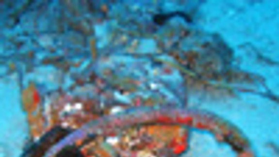 Bratislavskí potápači identifikovali vrak lietadla