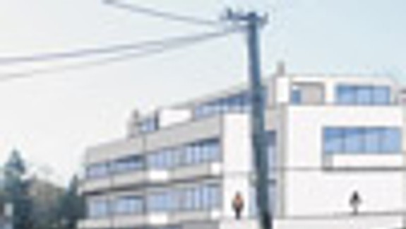 Nelegálny výrub je súčasťou snahy o zmenu ulice