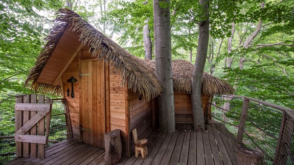 Láka vás prežiť noc na strome? Pozrite si možnosti v našom lesoparku a tiež ceny za tento jedinečný zážitok