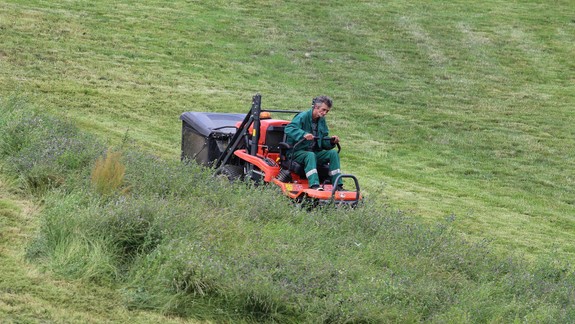 Petržalka sa dostala do sporu s magistrátom, dôvodom je kosenie mestských pozemkov