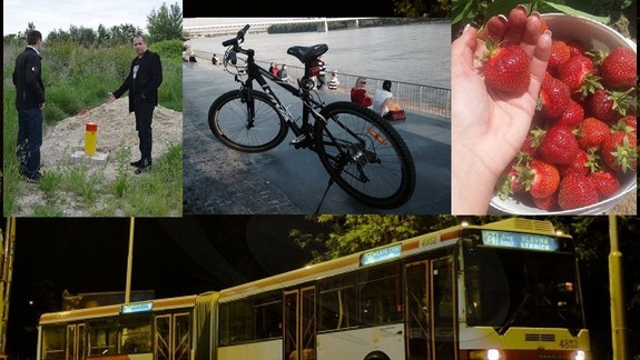 Mrak, z ktorého ide strach, preprava bicyklov v autobusoch MHD a zber jahôd - to boli hity v júni 2017