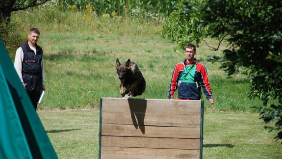 Majitelia cvičených psov budú v Novom Meste platiť nižšie dane