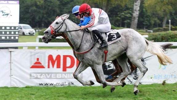 Dostihy: Víťazmi prvých dvoch klasických dostihov sa stali Feschanda a Manatan