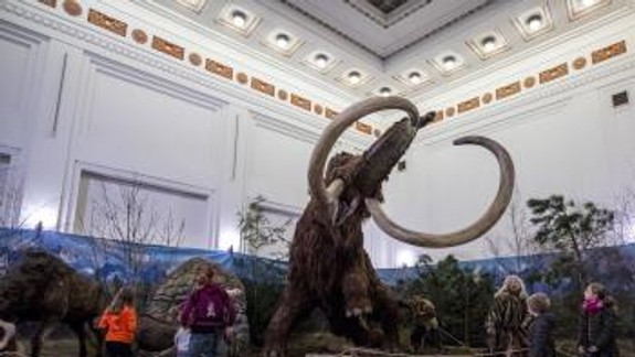 FOTO: Aj takto prázdninovali bratislavské deti