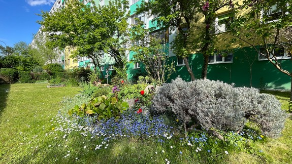 ROZHOVOR Predzáhradky neprinášajú do mesta iba krásu, ale aj rôzne problémy