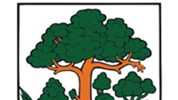 Petržalka rozdelila pred Vianocami sociálne slabším 26-tisíc eur