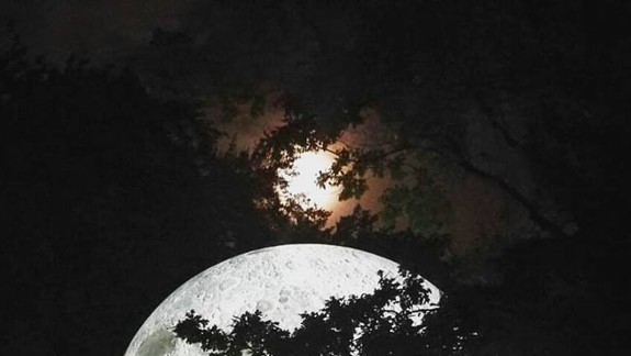 Mesiac vo fázach: Využite ho pre vaše zdravie a krásu