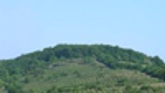 Obnova vinohradov je možnosťou Visutých záhrad