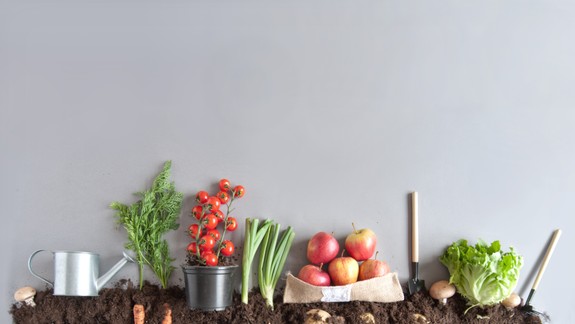 Štrobl: Prívlastok Potraviny s láskou vystihuje, čo robíme a ako robíme