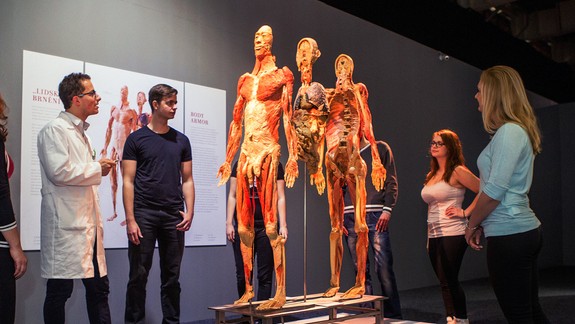 FOTO a VIDEO: V Bratislave sa chystá sa kontroverzná výstava ľudských pozostatkov