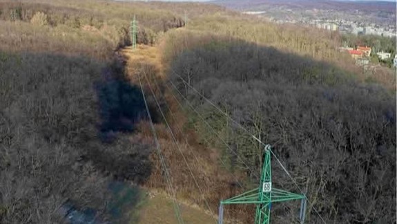 Na úpätí Devínskej Kobyly majú pre elektrické vedenie vyrúbať les na ploche veľkej ako 16 futbalových ihrísk