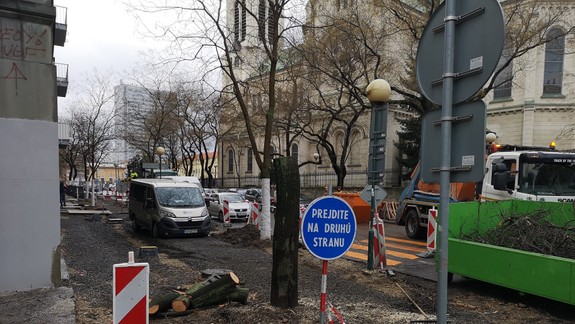 Na Blumentálskej ulici vyťali strom. Čo bolo príčinou? Čaká podobný osud aj ďalšie stromy?