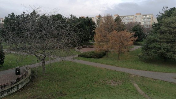 Grantový program Dobrý sused: Opäť podporí komunity v Bratislave a okolí