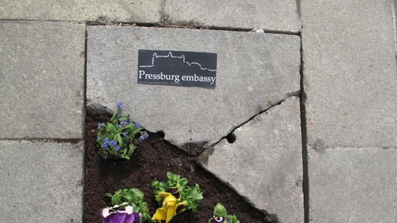 V centre mesta vyrástli malé kytičky kvetín