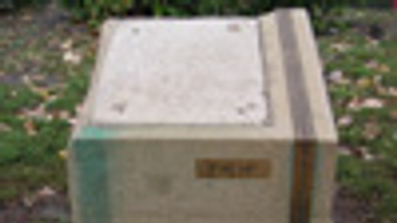 Zničili Segnerovu bustu a Mikovíniho poludník