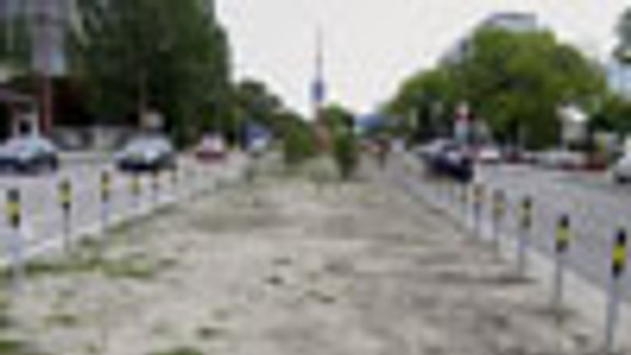 Revitalizácia zelene na Trnavskej len po častiach