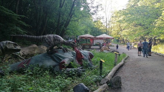 FOTO: Vyskúšali sme. Ako funguje v týchto dňoch zoologická záhrada?