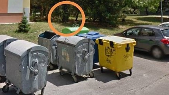 V Ružinove sa objavili naukladané mŕtve mačky