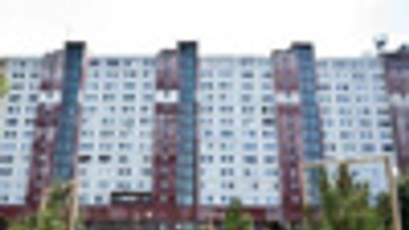 Jungmannovu skrášlili nové stromy a kríky